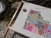 DSC05432.JPG