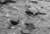 DSC_2945.thumb.jpg.9a61bfdb9f40932ad05de525369564fc.jpg