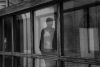 DSC_3023.thumb.jpg.622e54289a131dbeddbdfdef1e1eea08.jpg