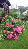 DSC_3226.thumb.JPG.f68bbf51fa7fbe661e19857b22d1dcc8.JPG