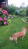 DSC_3251.thumb.JPG.833cfb148307edd8f2dbeab8f35f1f4c.JPG
