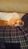 DSC_3258.thumb.JPG.c70590d2c4a02e938ef05344005e941b.JPG