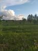 IMG-20200717-WA0002.thumb.jpg.387c3da58d37c35cf394b56df1af3e2a.jpg