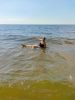 IMG-20200718-WA0057.thumb.jpg.f6b3e6ceab4c7ea6779b89bf4fd779ed.jpg