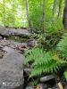 IMG-20200731-WA0000.thumb.jpg.2118dd6af3b80954676fd96a1b5d6297.jpg