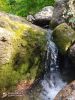 IMG-20200731-WA0003.thumb.jpg.0d5b416a46ca7dd65bbe00cd9342a37b.jpg