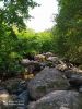 IMG-20200731-WA0004.thumb.jpg.11dbf86937ac75cfdb109fa7677f3486.jpg