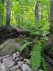 IMG-20200731-WA0006.thumb.jpg.195a83e12b81adf38d1019583926a37c.jpg