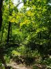 IMG-20200731-WA0009.thumb.jpg.ce5e746c20a2abc80a39414e4cf70a6b.jpg