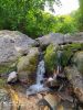 IMG-20200731-WA0012.thumb.jpg.2599c9b17d92d8c8433f3bca55939943.jpg