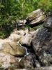 IMG-20200731-WA0015.thumb.jpg.dea6acd0624d27404a8bfaa856485165.jpg