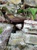 IMG-20200731-WA0019_1.thumb.jpg.0f726c1523fde52c774a36deb4fe6ed8.jpg