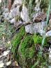 IMG-20200731-WA0022_1.thumb.jpg.b4fd1e8160dbef80acde161de79cdca0.jpg