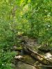 IMG-20200731-WA0031.thumb.jpg.5797160fbff6ed5b4a4d5caa0ff6c3f7.jpg