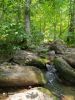 IMG-20200731-WA0034.thumb.jpg.51e9164864c70ce85b39b57dcf909b5e.jpg