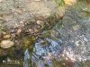 IMG-20200731-WA0035.thumb.jpg.e69abda459064bd10c9f841a9986e60b.jpg