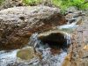 IMG-20200731-WA0037.thumb.jpg.2d83fb26c4e697811eed8008d964ac7f.jpg