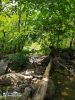 IMG-20200731-WA0039.thumb.jpg.fb2bae9c9df3ec7c02ba6de5173ffd48.jpg