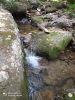 IMG-20200731-WA0042.thumb.jpg.edf019608a570cffa837ade6d51932df.jpg