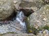 IMG-20200731-WA0052.thumb.jpg.b292760adc21a2cc28229d488e257b93.jpg