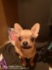 IMG-20200806-WA0012.thumb.jpg.5a8cb38c93c9b5dc0902e7e168ecb3c9.jpg