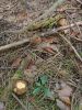 IMG-20200822-WA0077.thumb.jpg.21b3c85b9ffe75801112d9b950021533.jpg