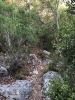 IMG-30609f2ec1d99ad40acc30ba4ee56517-V.jpg