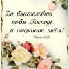 IMG-4b300560afcf0912bb0cc7e314fda681-V.thumb.jpg.86e92ac5309800e266f3cf00931567dc.jpg