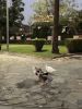 IMG-4ea815a57907ed527a50109bd8651d0e-V.thumb.jpg.14b9a81e0fc9e105fda3dea494837ec7.jpg