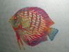 IMG_20200415_225849.thumb.jpg.7a1767f7709ee6efeeba80c8aabe7727.jpg