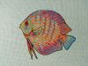 IMG_20200417_130954.thumb.jpg.e92636e4c75058f7f0cf278556150b33.jpg