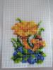 IMG_20200606_172533_1.thumb.jpg.d965fa0892d784ccde973fee24cc58fa.jpg