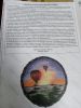 IMG_20200620_150240.thumb.jpg.66a980280e580ef71c4d552a69b96c7b.jpg