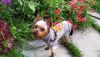 IMG_20200728_105355.thumb.jpg.cbf9a7ca38866ef4ae3f5d06abff950b.jpg