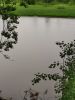 IMG_20200730_181918.thumb.jpg.7f28521b8426949a434c71c075a8d5ee.jpg