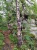 IMG_20200731_111454.thumb.jpg.0f9bbece6ffd9e9fceb85ea95ce83421.jpg