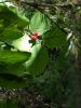 IMG_20200801_121114.thumb.jpg.afb0dc1caa413b6df14c49ddd37d5829.jpg