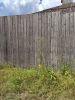 IMG_20200801_145109.thumb.jpg.cad9c7ca41c12c9b218e89d9f30e03d3.jpg