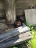 IMG_20200801_152811.thumb.jpg.cc3139ffd04d327c6b5a9515b3d2b156.jpg