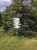 IMG_20200801_171338.thumb.jpg.4cd8f989ae52e480c953e2c62f2583a2.jpg