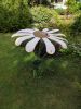IMG_20200801_171559.thumb.jpg.d873cad81a201b2cb85b5a3952610ace.jpg