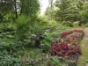 IMG_20200801_171945.thumb.jpg.aeda64d16adcbdeeeaae3152009032c7.jpg