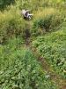 IMG_20200801_172213.thumb.jpg.7f0bd28d3685902d6e9d9bdfbfbfb696.jpg