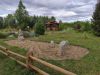 IMG_20200801_175742.jpg
