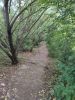 IMG_20200801_180953.thumb.jpg.99584d605ded209c985beaa39f5522ae.jpg