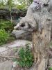 IMG_20200802_155548.thumb.jpg.f7b4f708a36ff7c69196bc2ef463ad51.jpg
