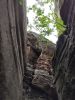 IMG_20200802_161415.thumb.jpg.b5d26d70c0f3da02c80ca1983c7dc571.jpg