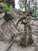 IMG_20200802_161442.thumb.jpg.43bee78fae6501d79be20b59f386a256.jpg
