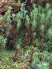 IMG_20200802_162430.jpg