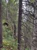 IMG_20200803_073105.thumb.jpg.7ca2127e37c6171b2a37e5cb1269e126.jpg